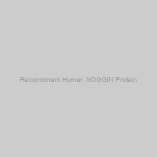 Image of Recombinant Human NOGGIN Protein